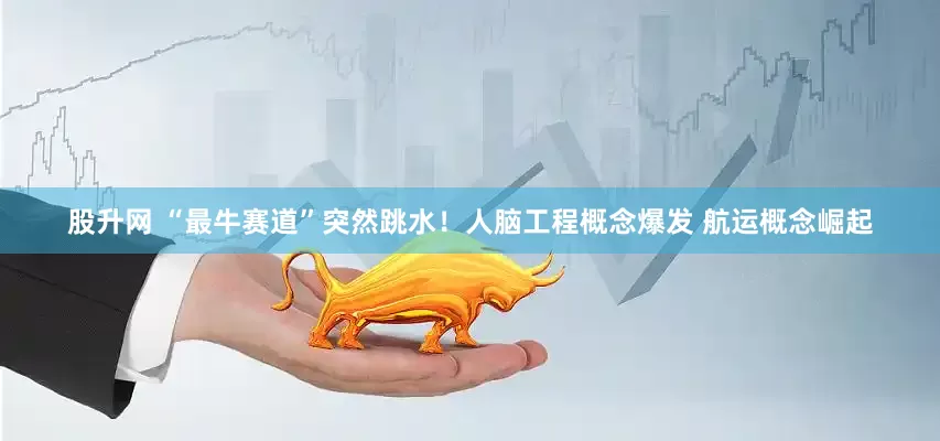 股升网 “最牛赛道”突然跳水！人脑工程概念爆发 航运概念崛起