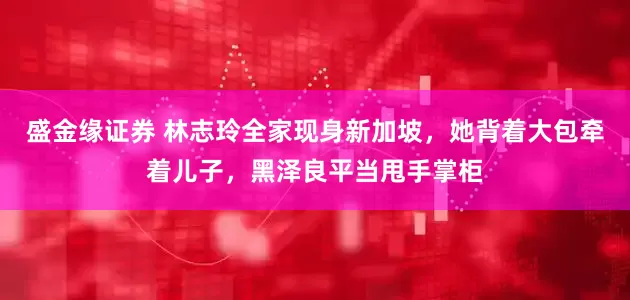 盛金缘证券 林志玲全家现身新加坡，她背着大包牵着儿子，黑泽良平当甩手掌柜