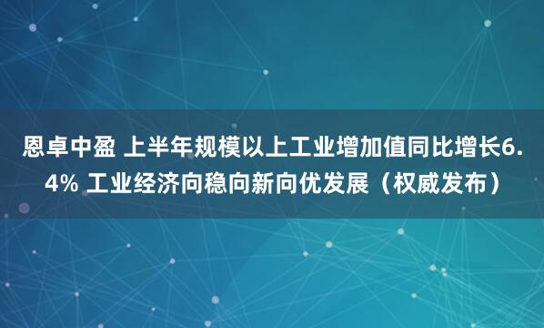 恩卓中盈 上半年规模以上工业增加值同比增长6.4% 工业经济向稳向新向优发展（权威发布）