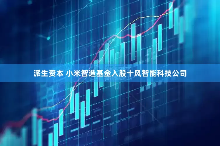 派生资本 小米智造基金入股十风智能科技公司