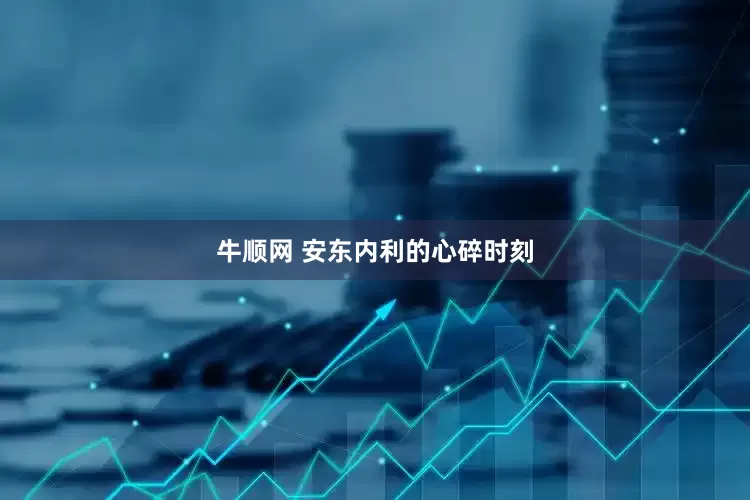 牛顺网 安东内利的心碎时刻